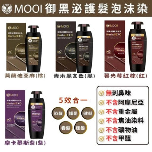 台灣 MOOI 御黑泌泡沫染髮液 320ml